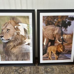 Framed Art Black Wood Frame Lion and Elephants Set of 2 32"x45" Safari Animals